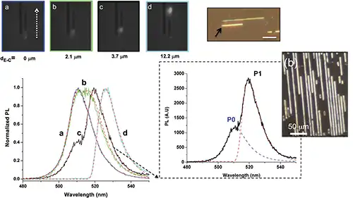 Article DVD CD hybrid perovskites, photon recycling