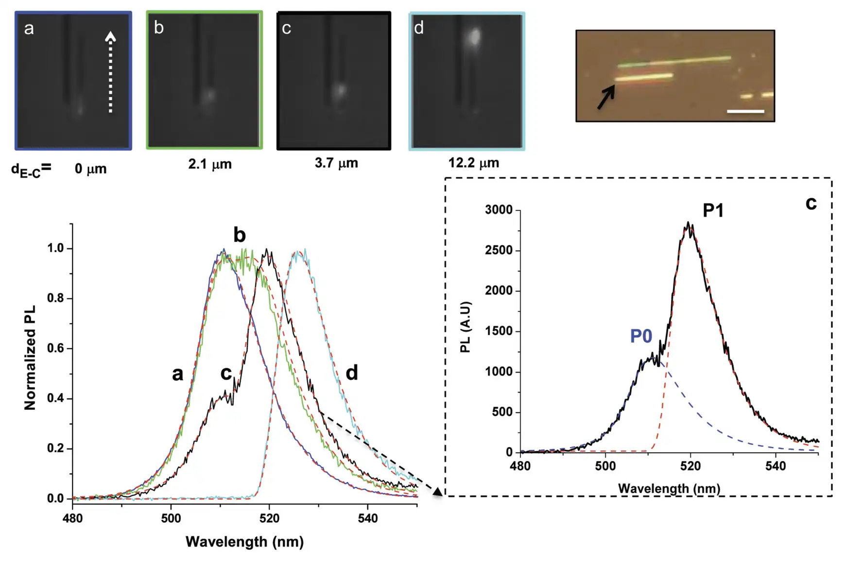 Light propagation of hybrid perovskite grown in a DVD. Photon recycling or excitation from the pump laser