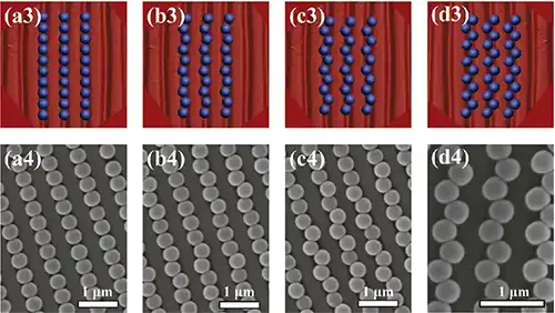 3D representations and colloidal self assambly in DVD. Samll version