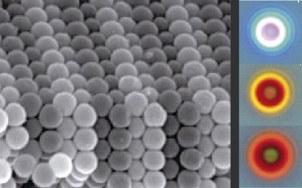 Colloids HCP plus spheres