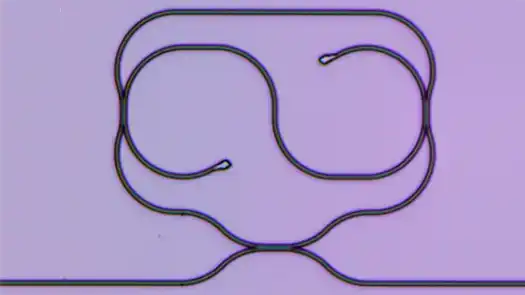 Taiji microresonator, optical image from top