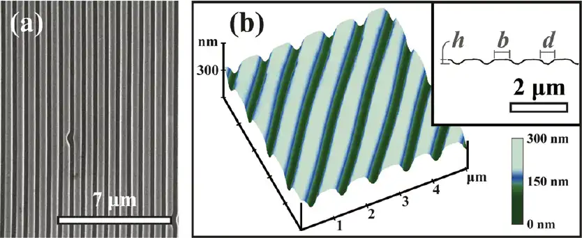 DVD-R SEM image and AFM image. Microscopy.