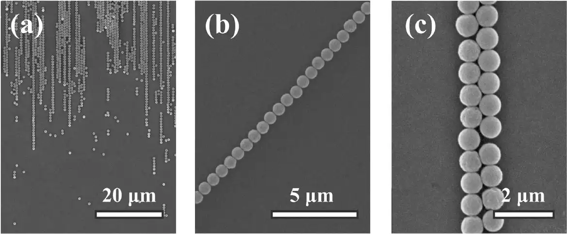 Colloids, particles ordered in lineas, DVD template