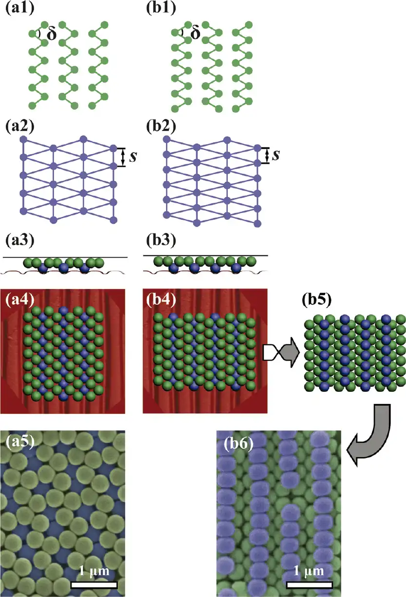 Evolution of different colloidal orderings and layers, DVD templates