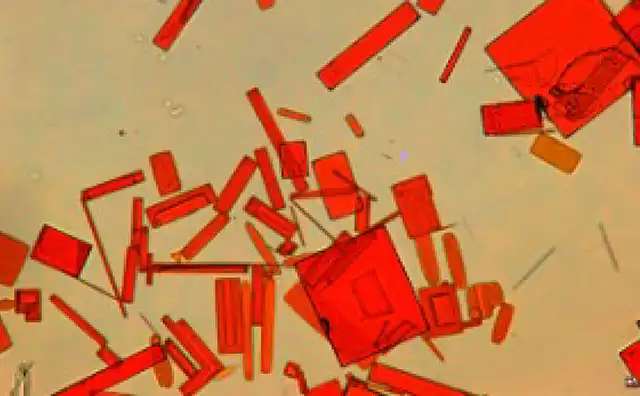 Hybrid perovskites, 1D, 2D, Single Crystal