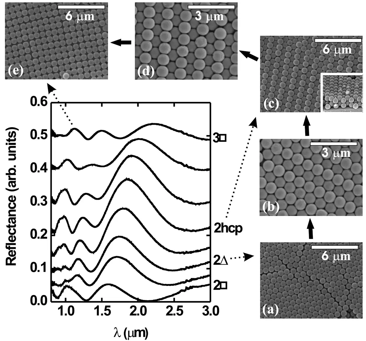 reflectance spectra of morphological change of confined colloidal crystal, from 2 to 3 layer square