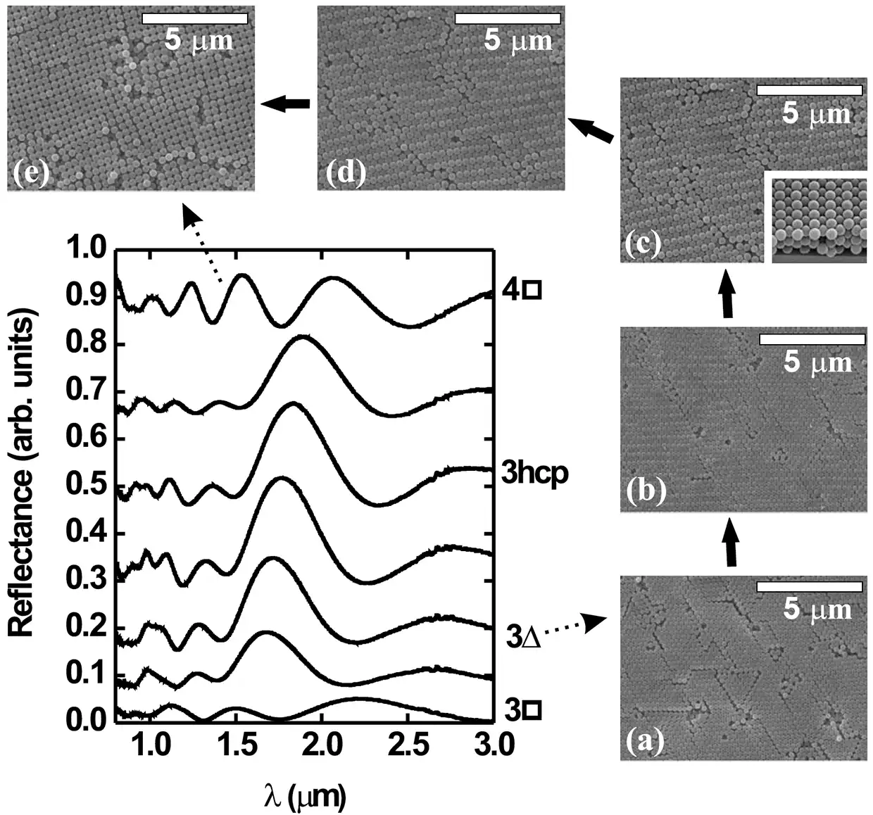 Reflectance optical spectra obtained over a path for the transition between 3 square and 4 square colloidal orderings