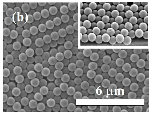 Buckling phase of colloidal orderings and transitions