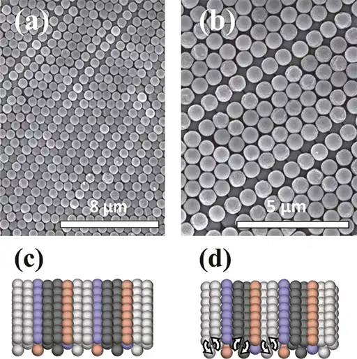 Colloidal ordering, SEM images of, the transition hcp(100)-like / Pre-4 square
